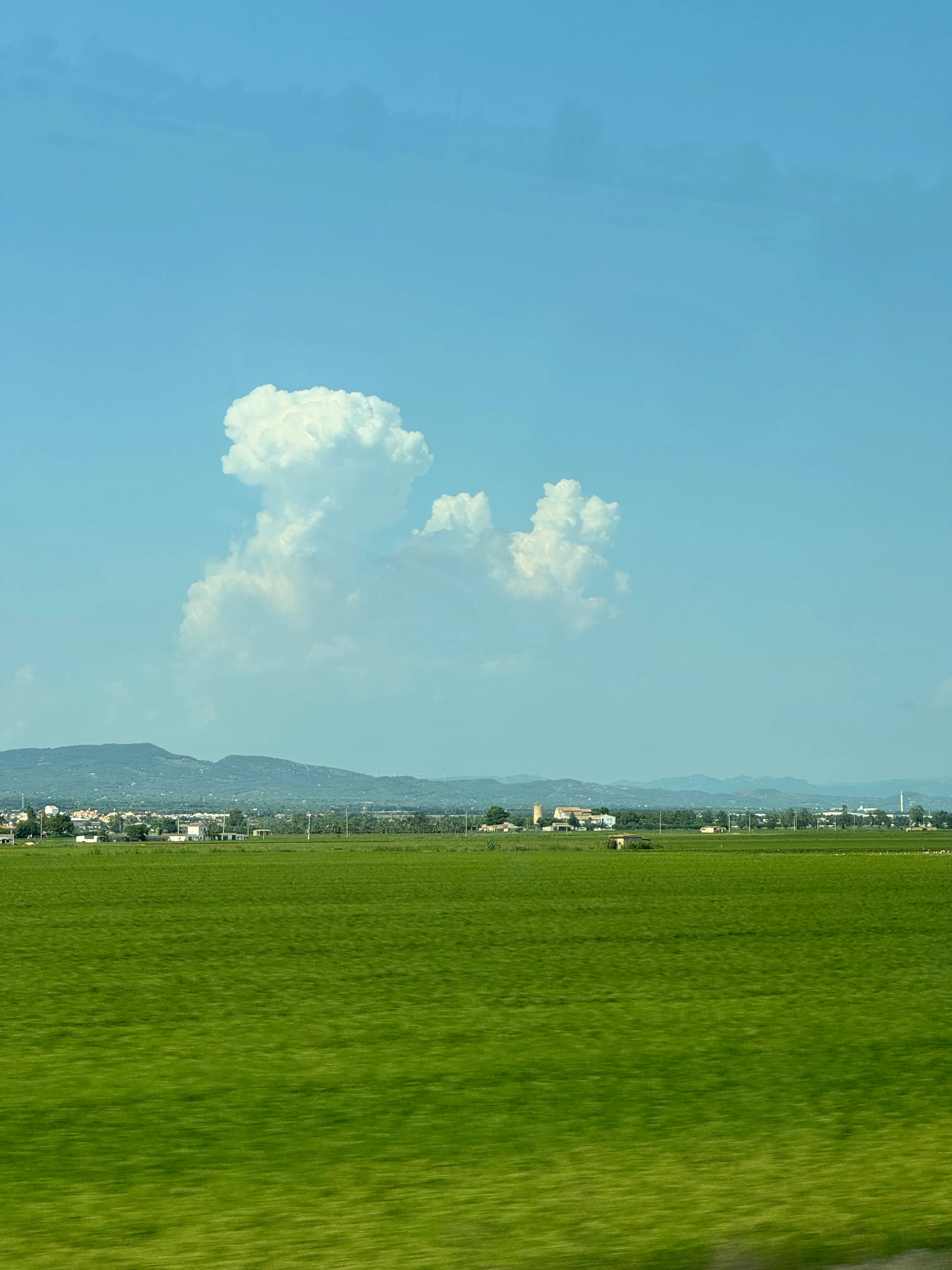 Deltebre, Spain, photo 2 of 2