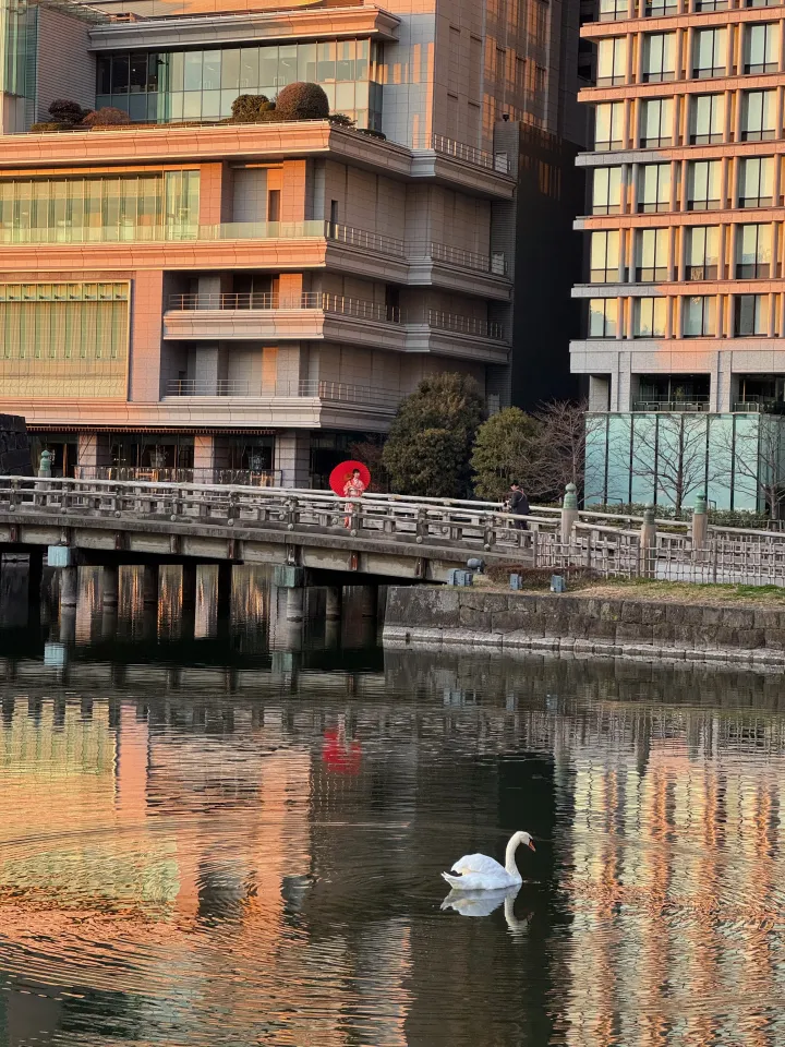 Tokyo, photo 3 of 4