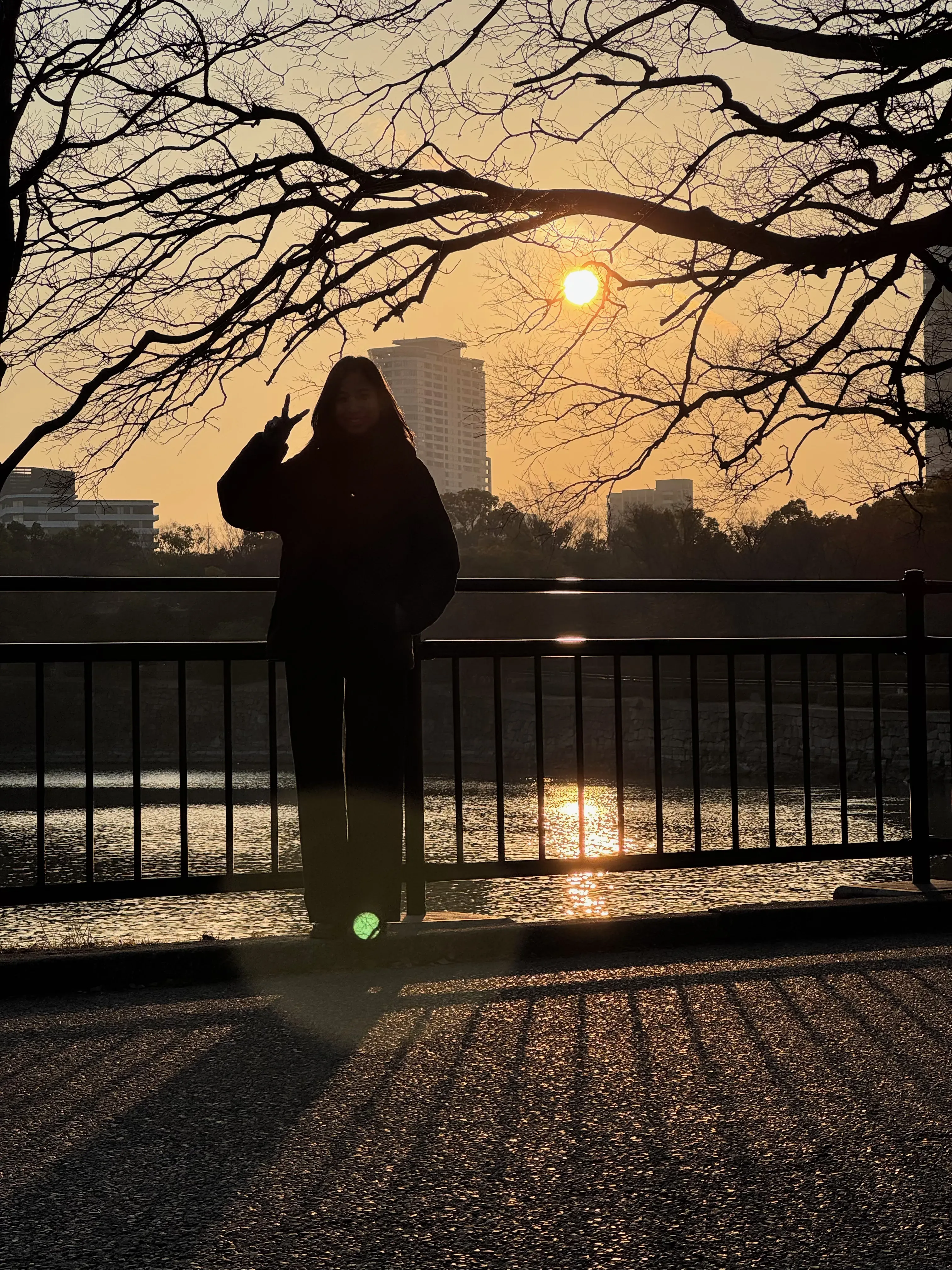 ‘Osaka, photo 2’
