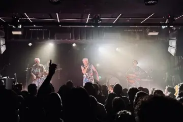 Concert Vibes